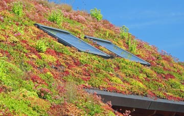 Cockley Beck living roof systems
